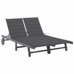 VidaXL Chaise longue de jardin 2 places avec coussin Gris Acacia
