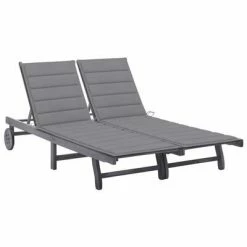 VidaXL Chaise longue de jardin 2 places avec coussin Gris Acacia