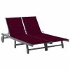 VidaXL Chaise longue de jardin 2 places avec coussin Gris Acacia 2 VidaXL Chaise longue de jardin 2 places avec coussin Gris Acacia -Bains de soleil Soldes image 1 3061398