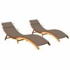 VidaXL Chaises longues 2 pcs avec coussins Bois d'acacia solide 2 VidaXL Chaises longues 2 pcs avec coussins Bois d'acacia solide -Bains de soleil Soldes image 1 3077369