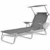 VidaXL Chaise longue avec auvent Acier Gris 2 VidaXL Chaise longue avec auvent Acier Gris -Bains de soleil Soldes image 1 42934