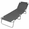 VidaXL Chaise longue pliable avec dossier réglable Gris 2 VidaXL Chaise longue pliable avec dossier réglable Gris -Bains de soleil Soldes image 1 44293